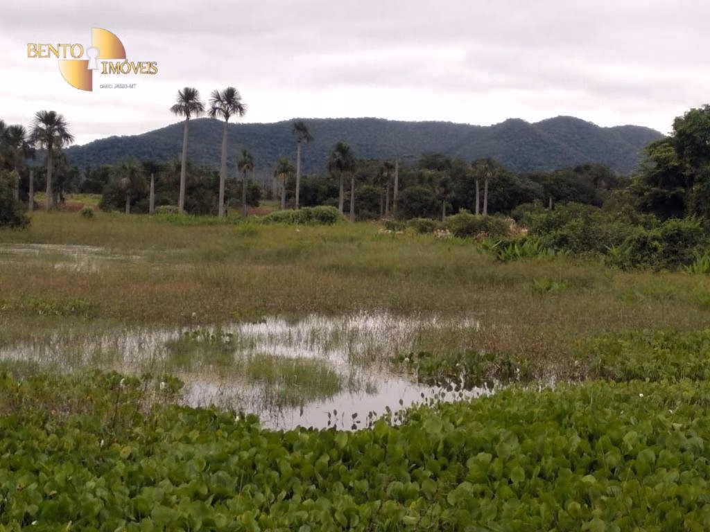 Fazenda de 252 ha em Cuiabá, MT