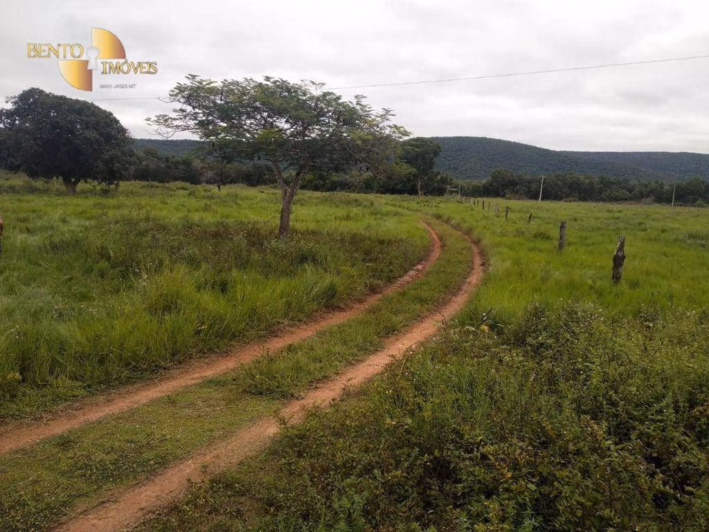 Fazenda de 252 ha em Cuiabá, MT