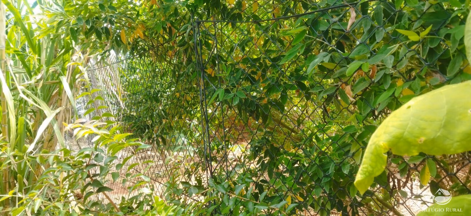 Terreno de 162 m² em Frutal, MG
