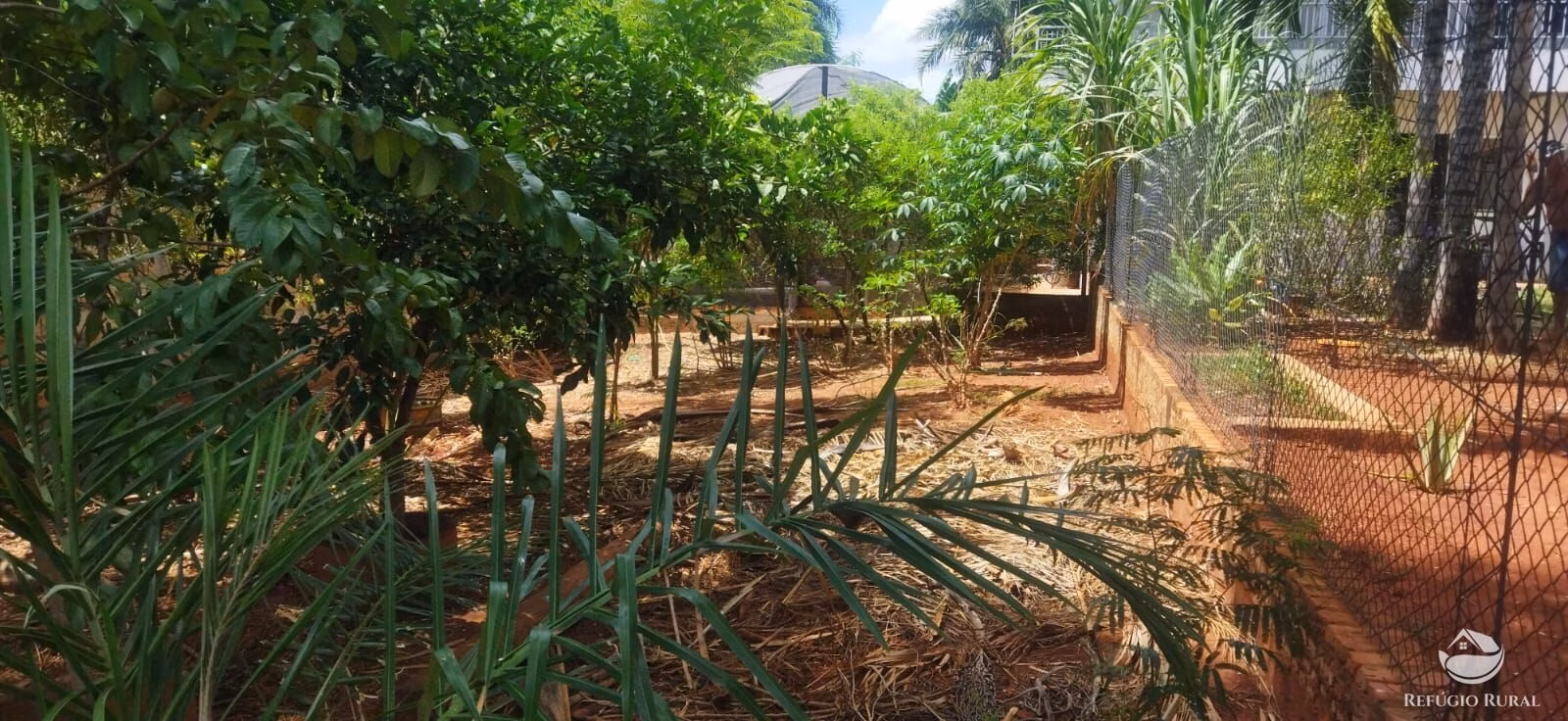 Terreno de 162 m² em Frutal, MG