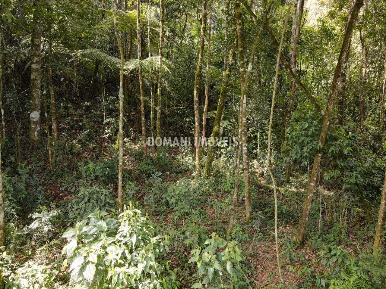 Terreno de 1,130 m² em Campos do Jordão, SP