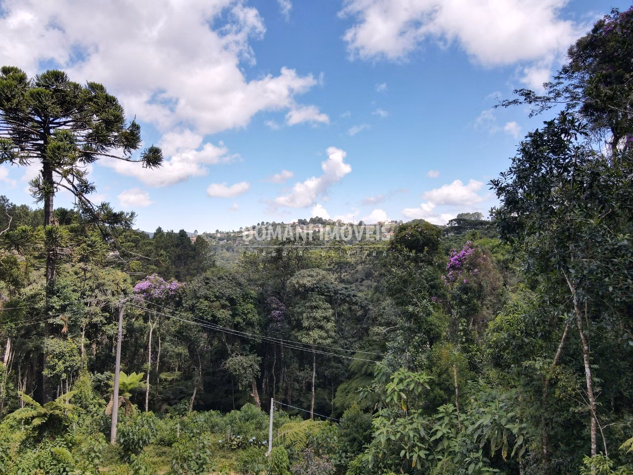 Terreno de 1,130 m² em Campos do Jordão, SP