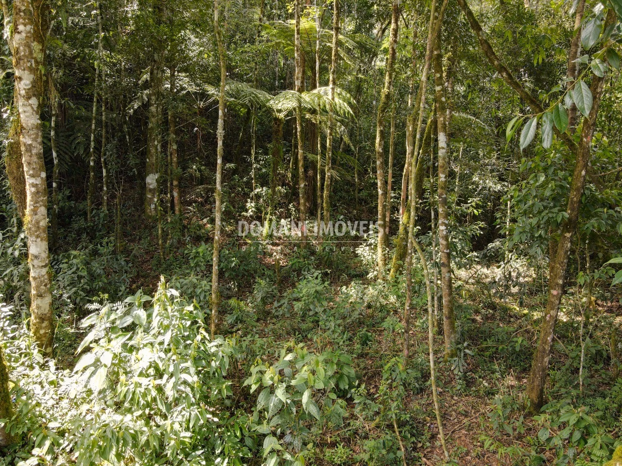 Terreno de 1.130 m² em Campos do Jordão, SP
