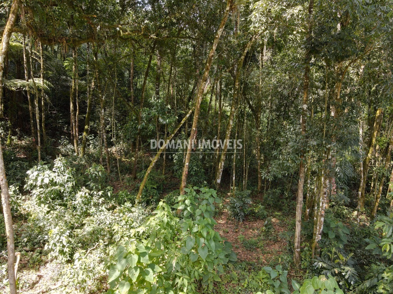 Terreno de 1,130 m² em Campos do Jordão, SP