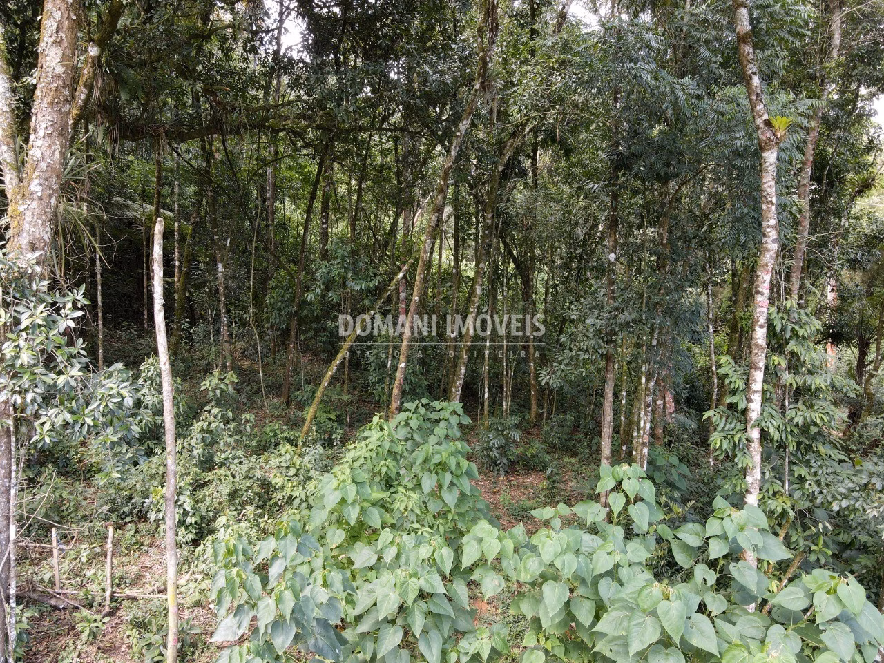 Terreno de 1.130 m² em Campos do Jordão, SP