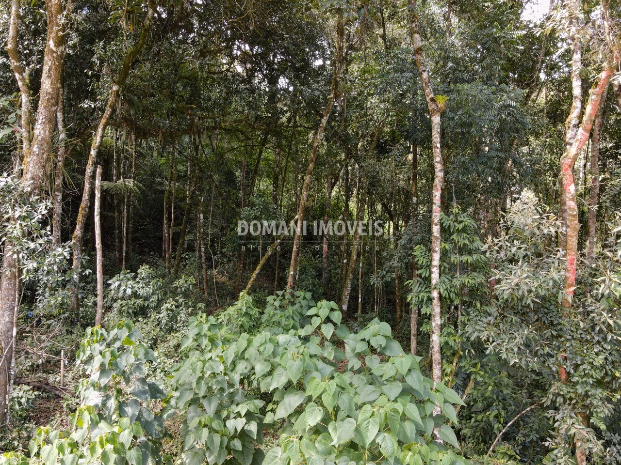 Terreno de 1,130 m² em Campos do Jordão, SP