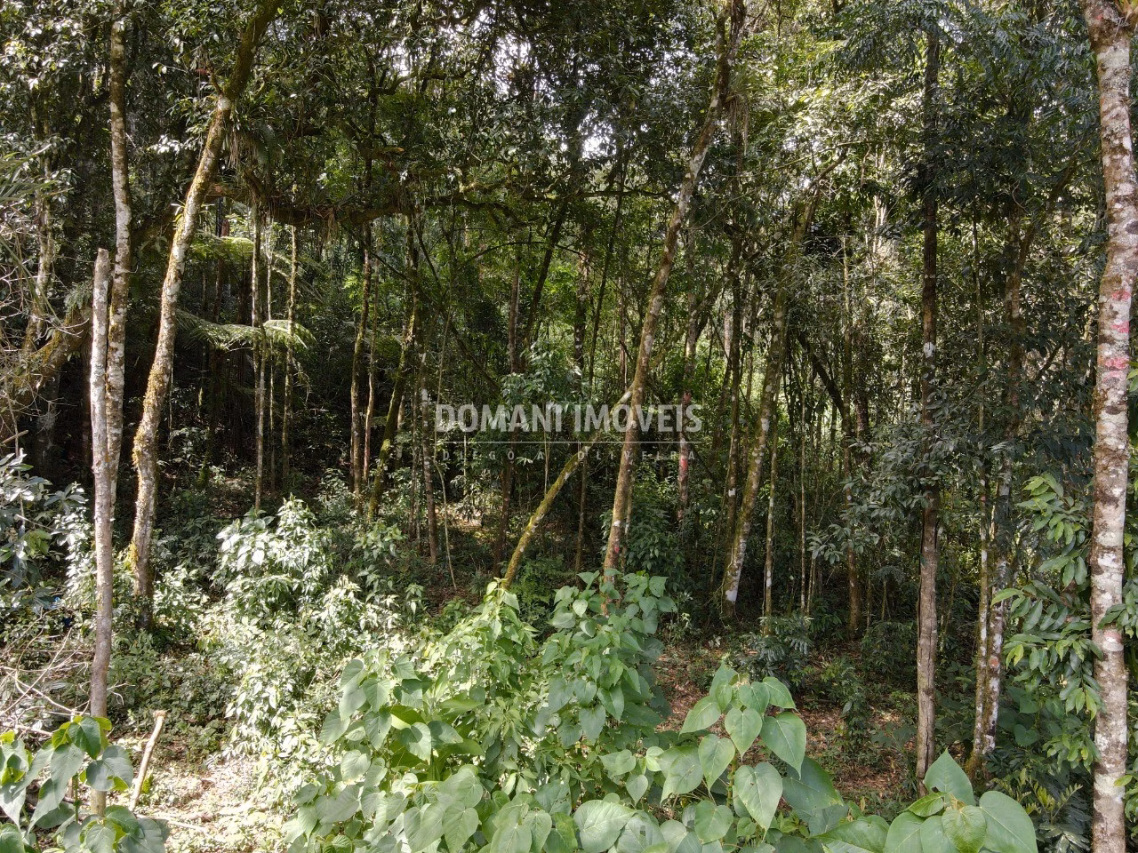 Terreno de 1.130 m² em Campos do Jordão, SP