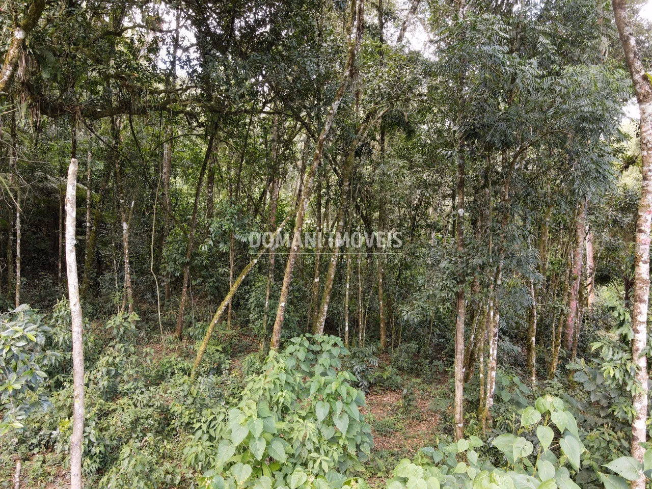 Terreno de 1,130 m² em Campos do Jordão, SP