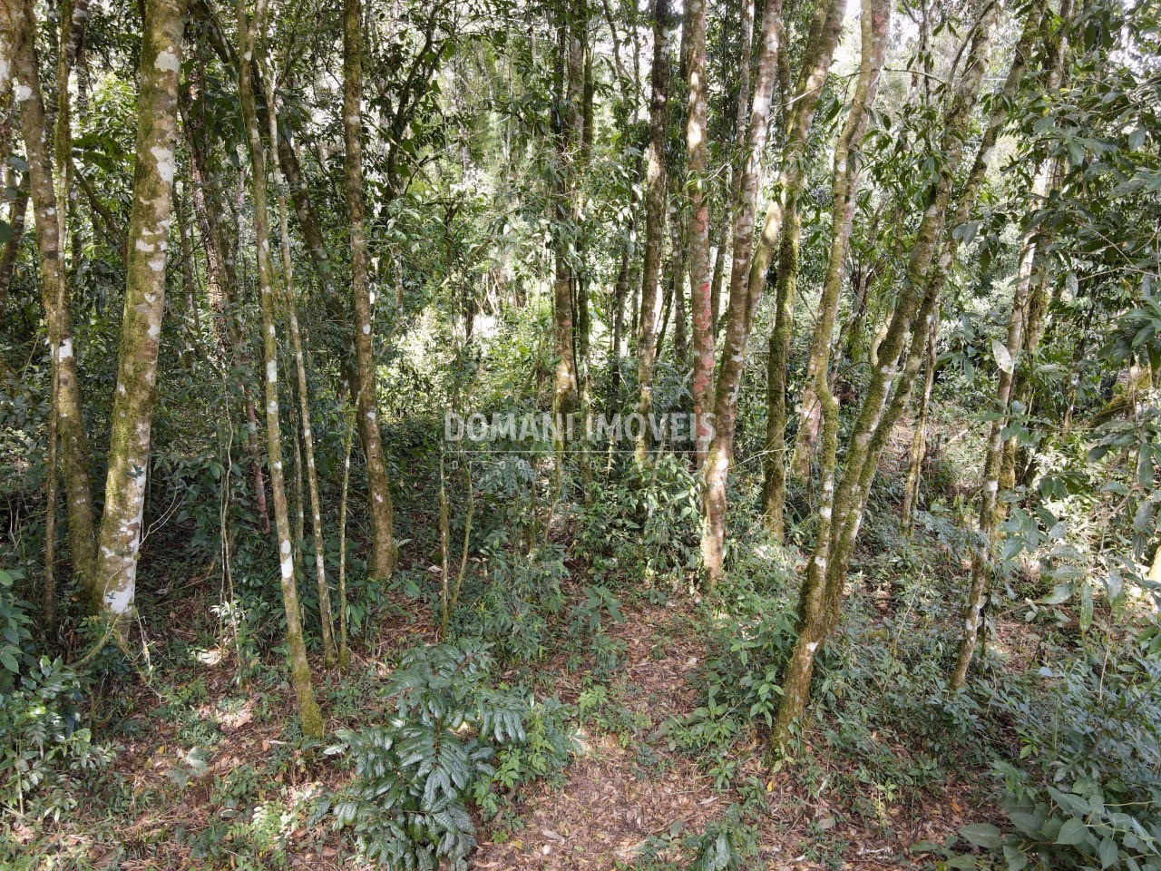 Terreno de 1,130 m² em Campos do Jordão, SP