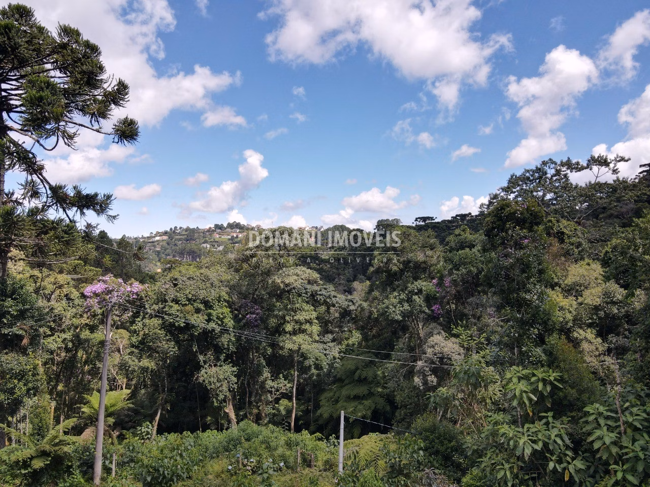 Terreno de 1,130 m² em Campos do Jordão, SP