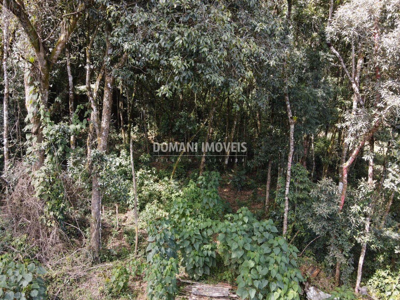 Terreno de 1,130 m² em Campos do Jordão, SP