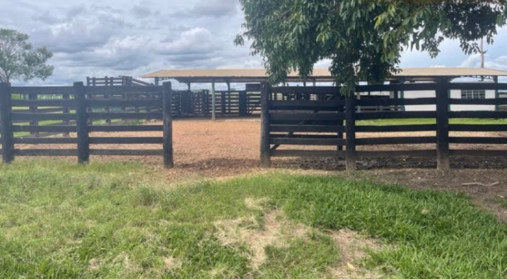 Fazenda de 8.728 ha em Serranópolis, GO