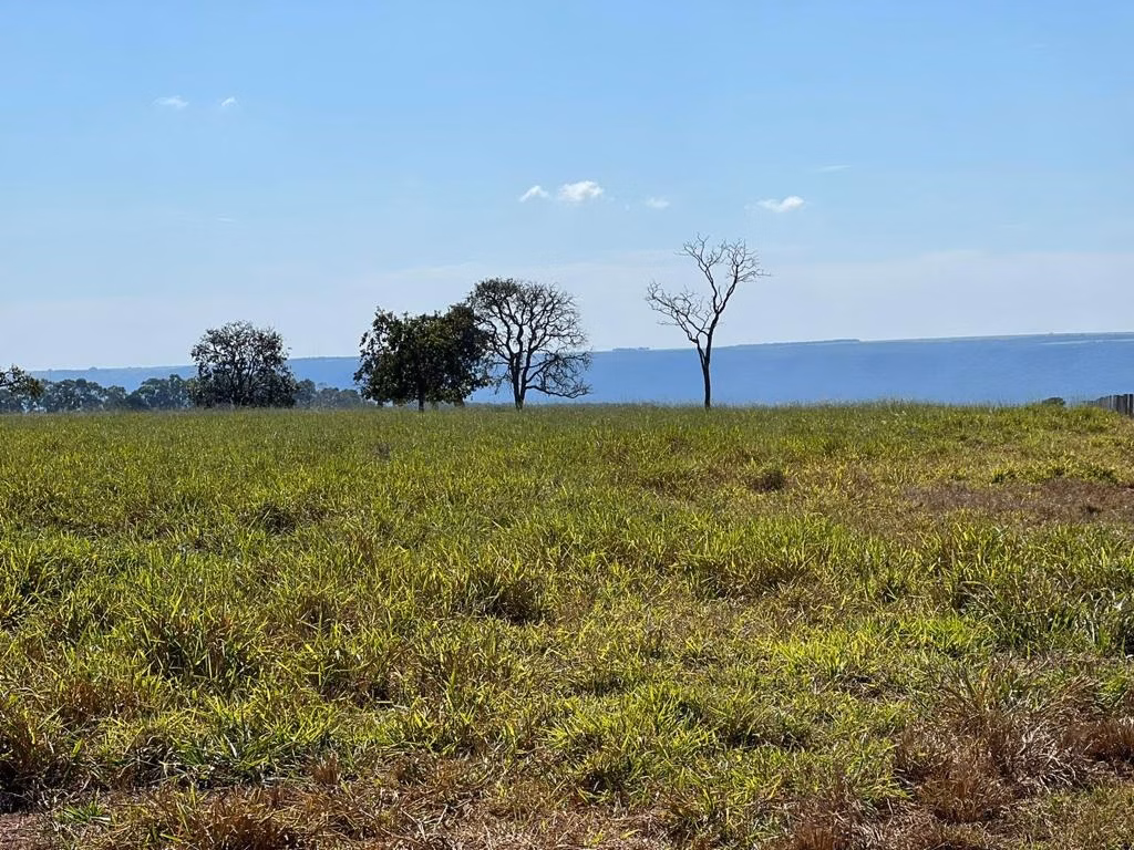 Fazenda de 8.728 ha em Serranópolis, GO