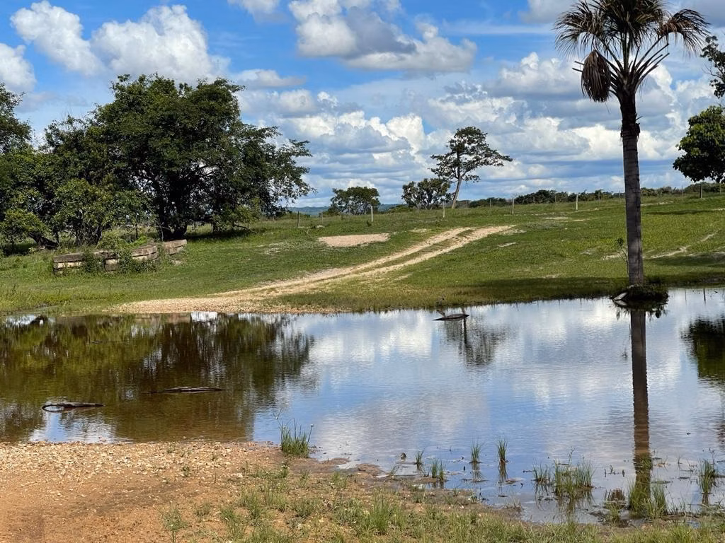 Fazenda de 8.728 ha em Serranópolis, GO