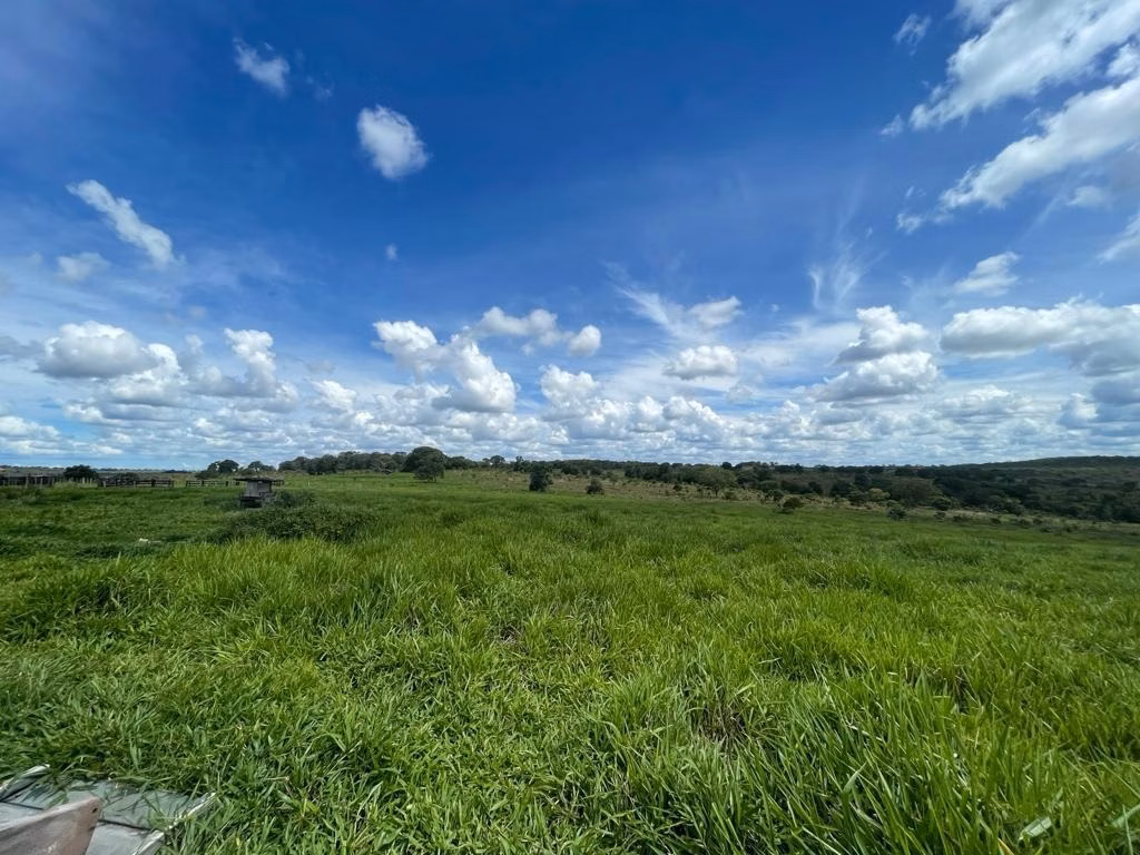 Fazenda de 8.728 ha em Serranópolis, GO