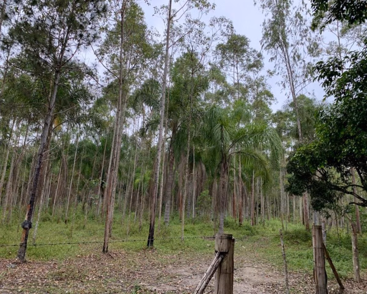 Fazenda à venda de 77 ha em Jacupiranga, SP