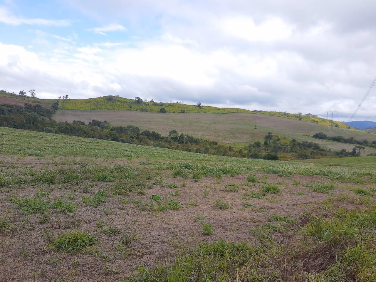 Fazenda de 363 ha em Ortigueira, PR