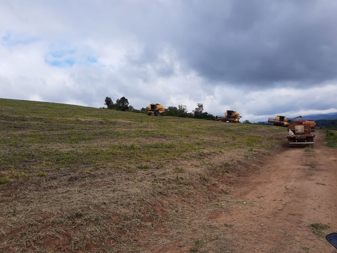 Fazenda de 363 ha em Ortigueira, PR
