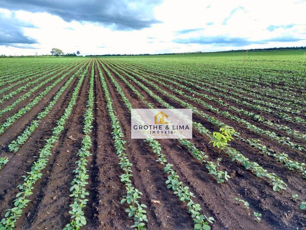 Fazenda de 5.700 ha em Caxias, MA