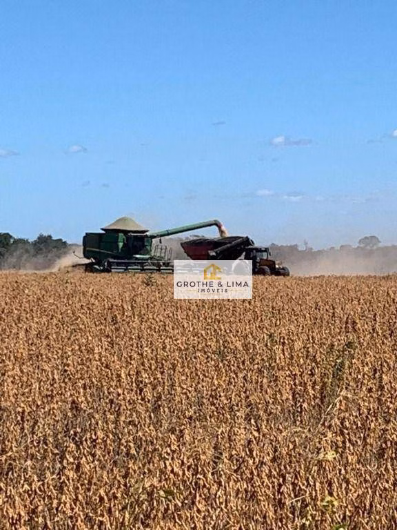 Fazenda de 5.700 ha em Caxias, MA
