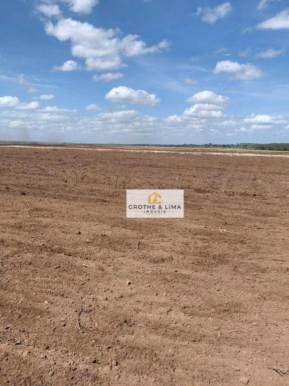 Fazenda de 5.700 ha em Caxias, MA