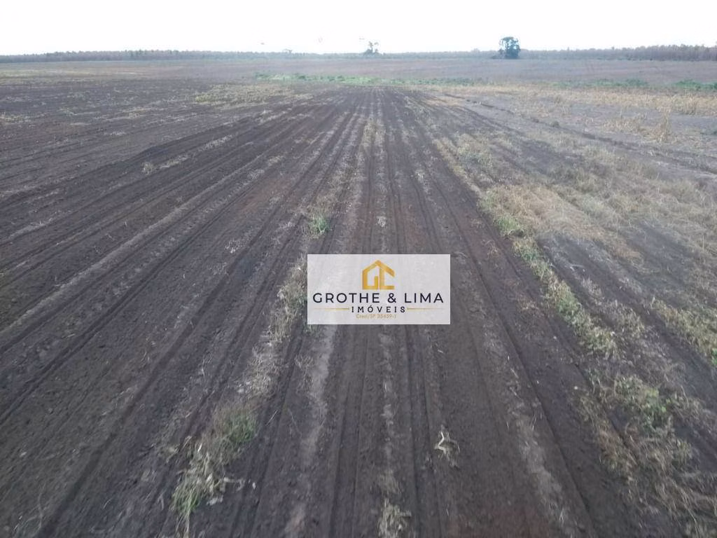 Fazenda de 5.700 ha em Caxias, MA