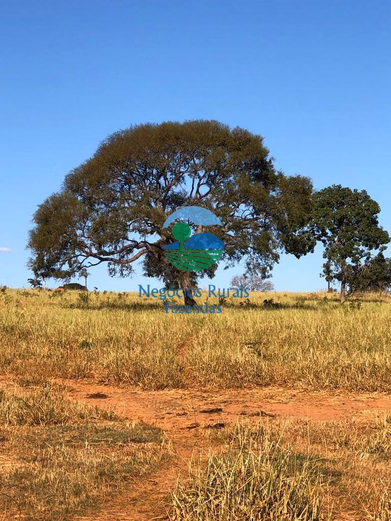 Fazenda de 145 ha em Uruaçu, GO