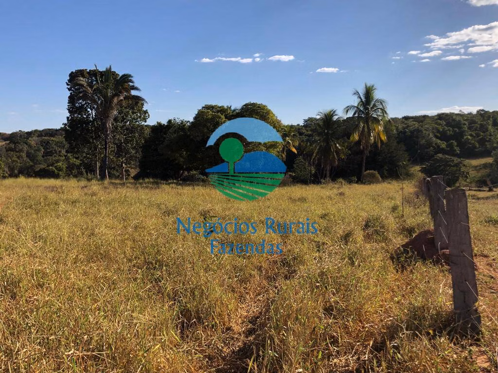 Fazenda de 145 ha em Uruaçu, GO