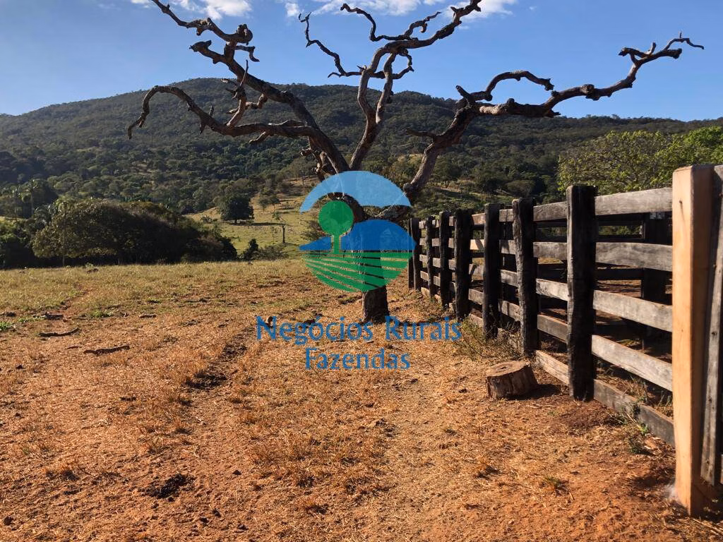Fazenda de 145 ha em Uruaçu, GO