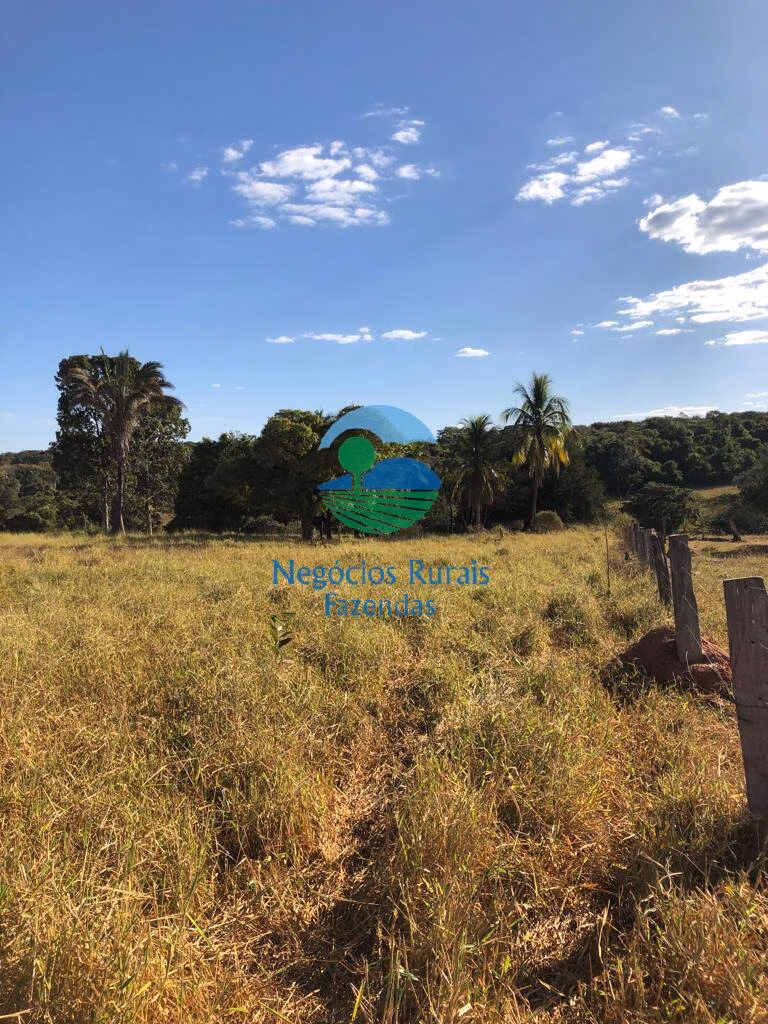 Fazenda de 145 ha em Uruaçu, GO