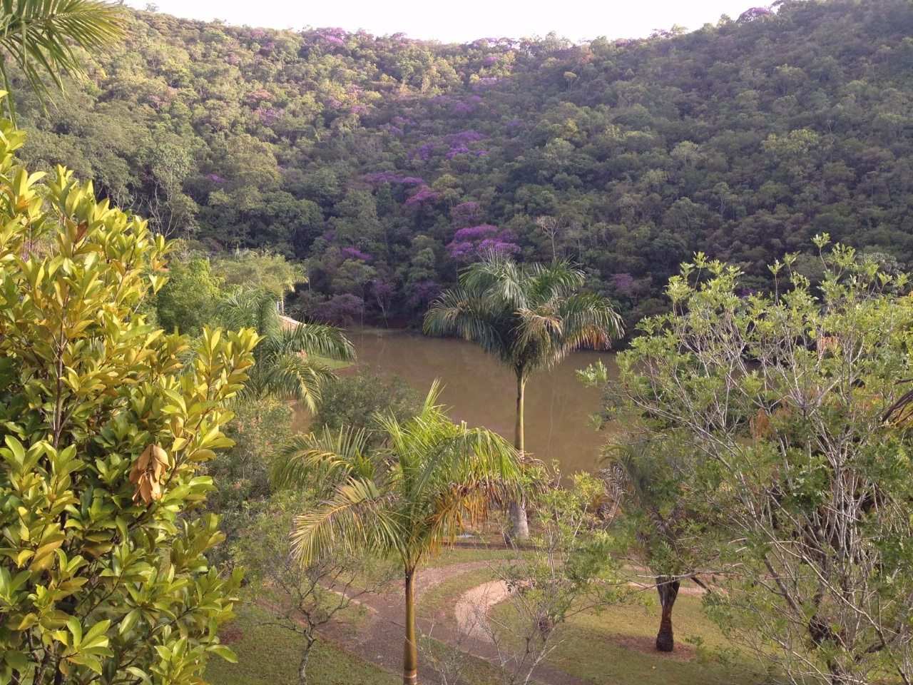 Sítio de 5 ha em Caçapava, SP