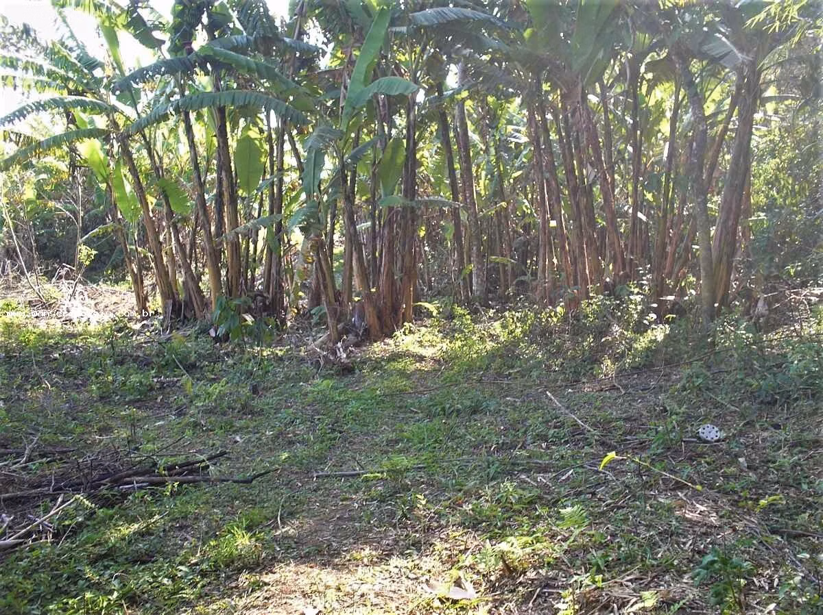 Plot of 42 acres in Monteiro Lobato, SP, Brazil