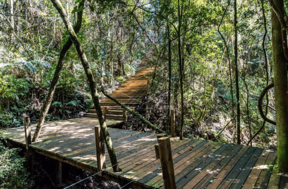 Chácara à venda de 462 m² em Pardinho, SP