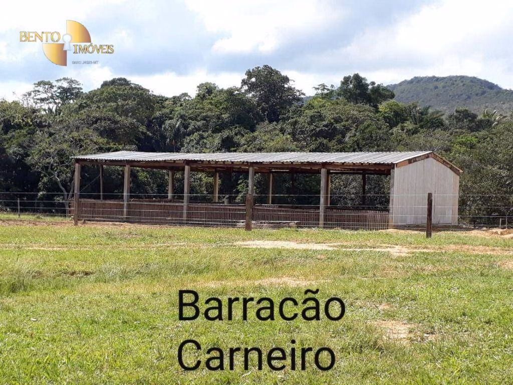Fazenda de 1.600 ha em Nossa Senhora do Livramento, MT