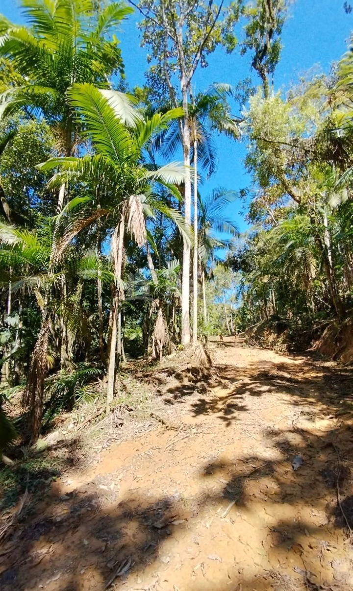 Fazenda de 3 ha em Nova Trento, SC