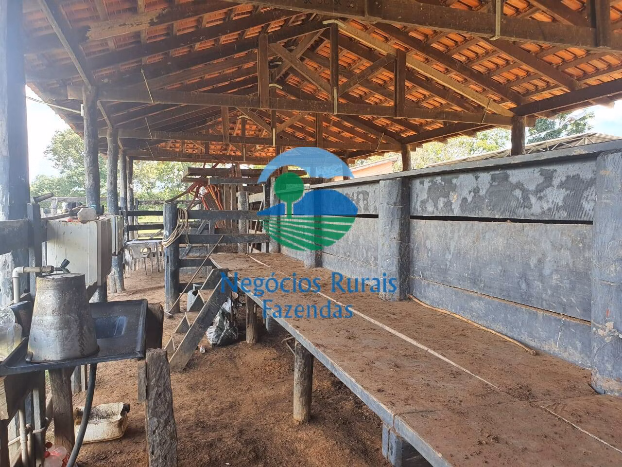 Fazenda de 997 ha em Campinorte, GO