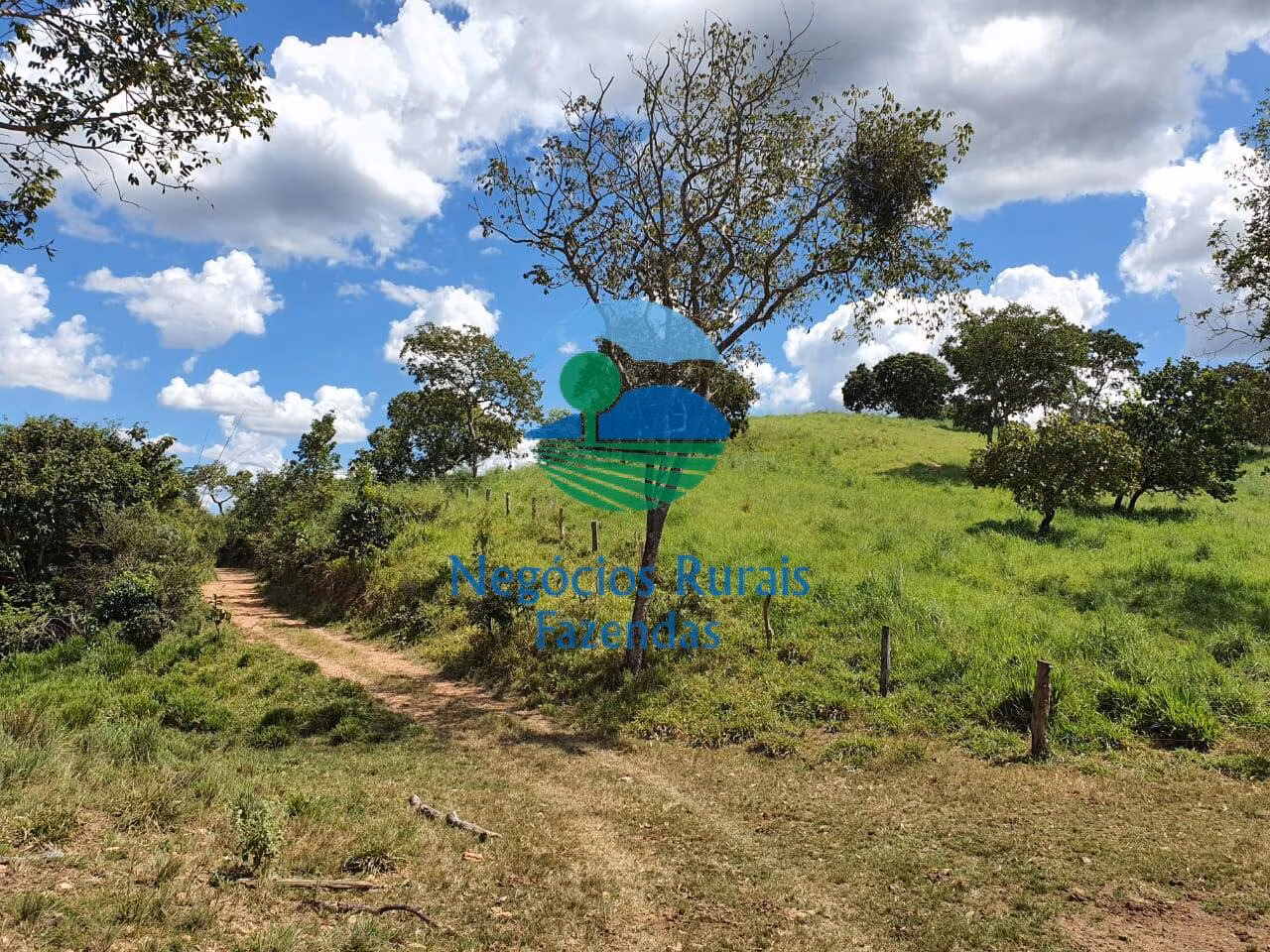 Fazenda de 997 ha em Campinorte, GO