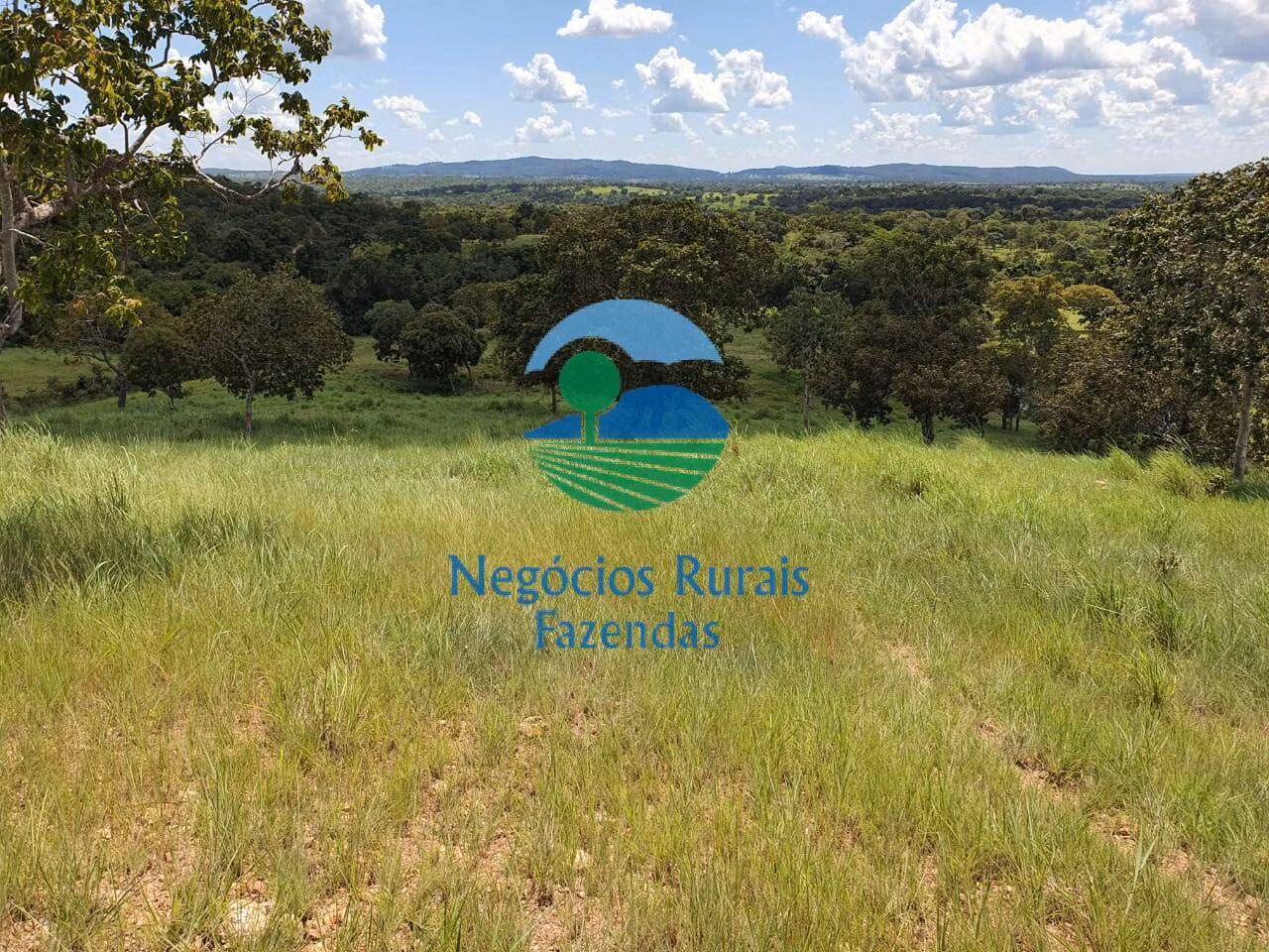 Fazenda de 997 ha em Campinorte, GO