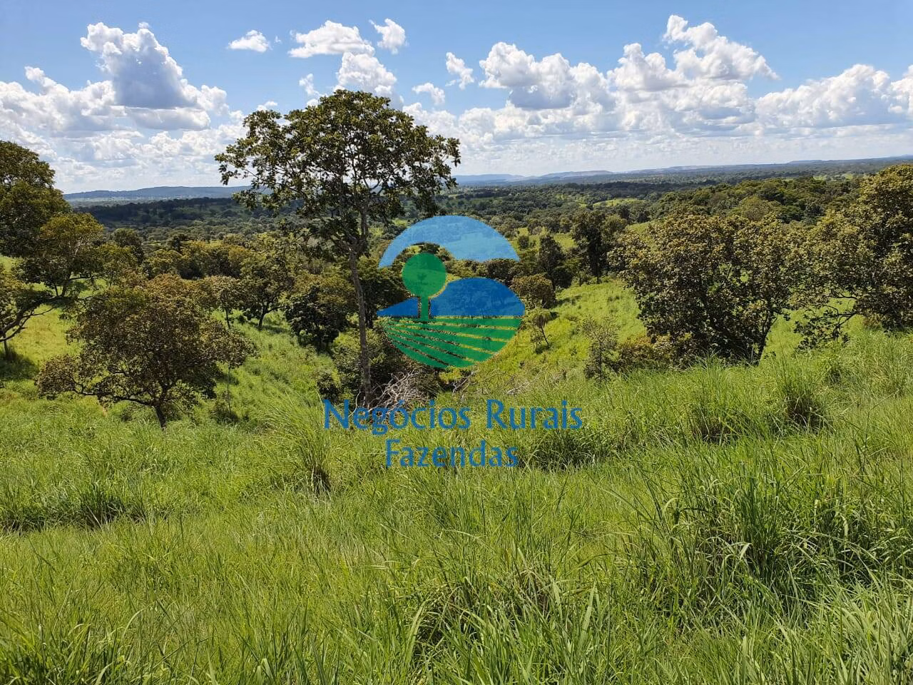 Fazenda de 997 ha em Campinorte, GO