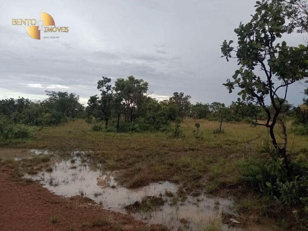 Fazenda de 1.142 ha em Porto Alegre do Norte, MT