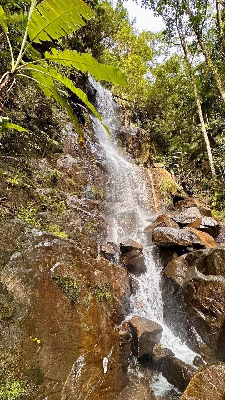 Terreno de 30 ha em Nova Trento, SC