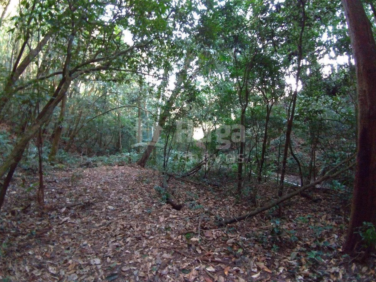 Farm of 11 acres in Gaspar, SC, Brazil