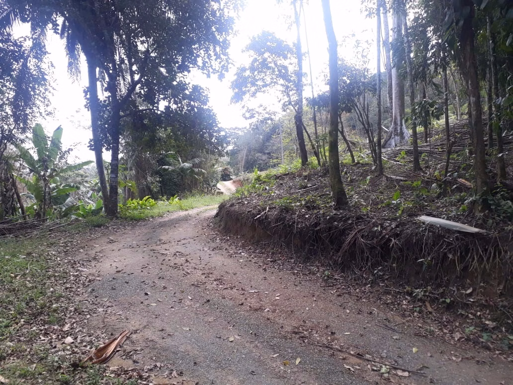 Sítio de 12 ha em Miracatu, SP