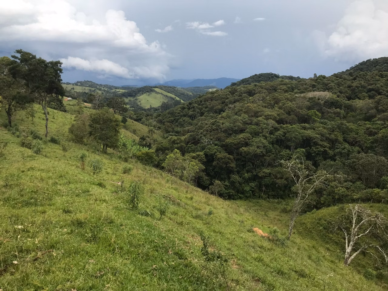 Terreno de 5 ha em Santo Antônio do Pinhal, SP