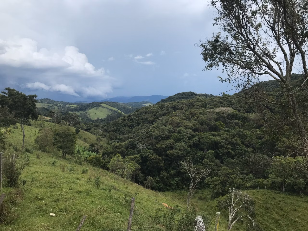 Terreno de 5 ha em Santo Antônio do Pinhal, SP