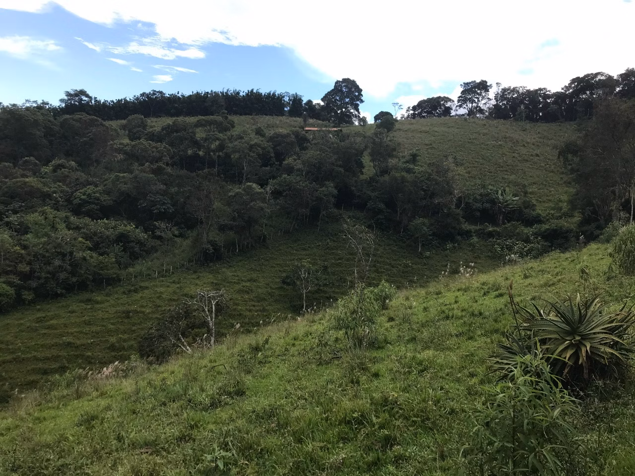 Terreno de 5 ha em Santo Antônio do Pinhal, SP