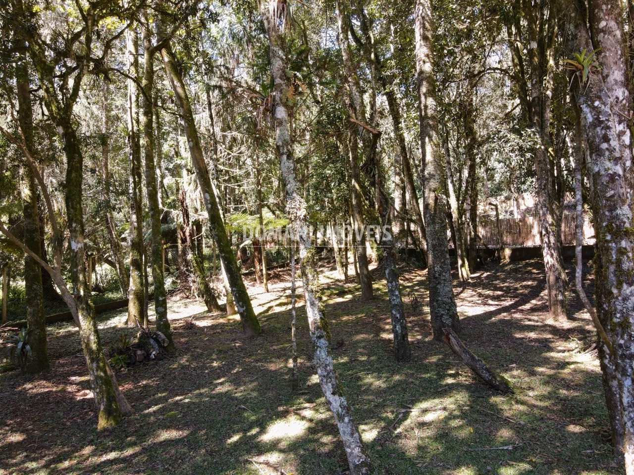 House of 2,640 m² in Campos do Jordão, SP, Brazil