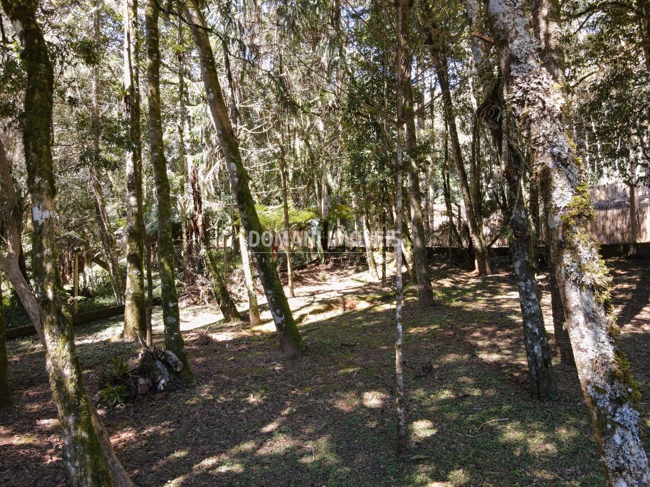 Casa de 2,640 m² em Campos do Jordão, SP