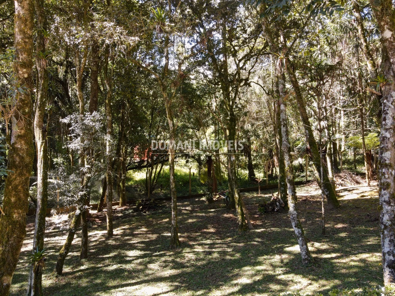 House of 2,640 m² in Campos do Jordão, SP, Brazil