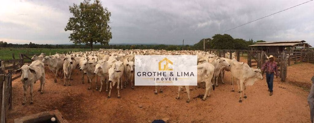 Farm of 10.477 acres in Paraíso do Tocantins, TO, Brazil